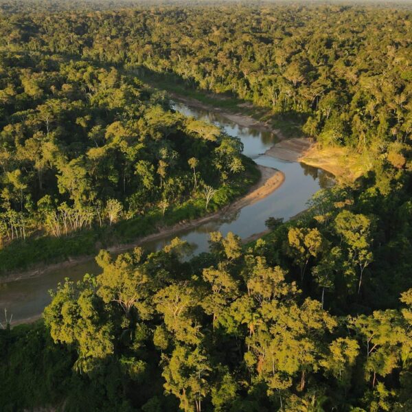 Dois parques do Acre são indicados para turismo de observação de aves em catálogo de experiências de birdwatching no Brasil