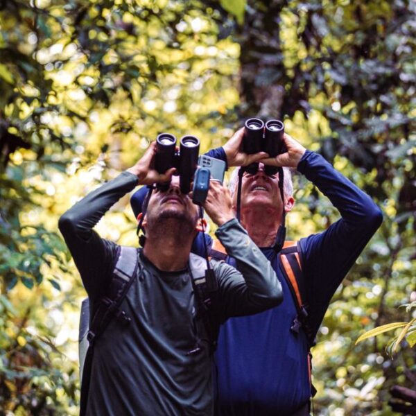 Condutor compartilha trajetória e dicas de observação de aves no Acre em palestra gratuita