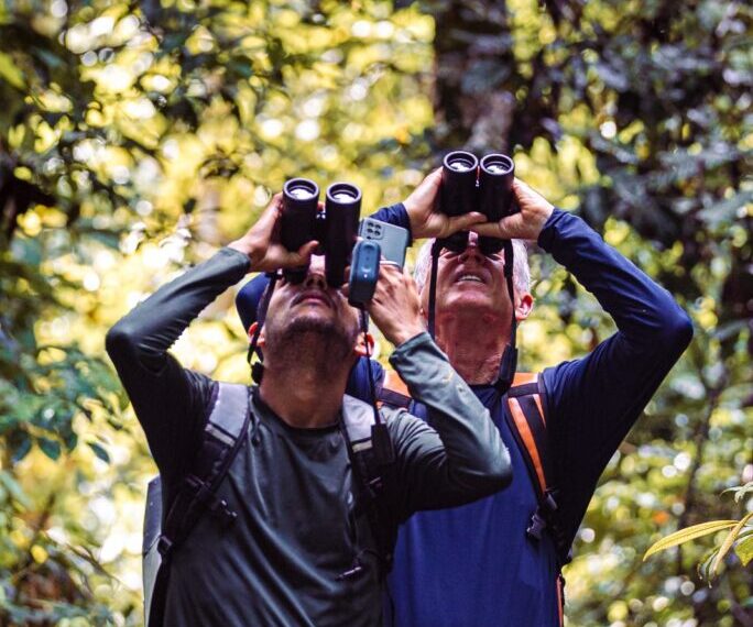 Condutor compartilha trajetória e dicas de observação de aves no Acre em palestra gratuita