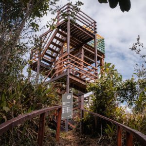 Foto_ Bruno Moraes-1510